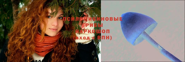 хмурый Покров