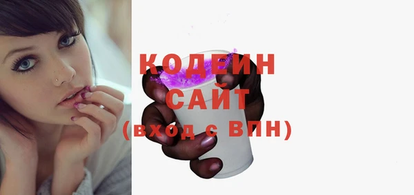 индика Покачи