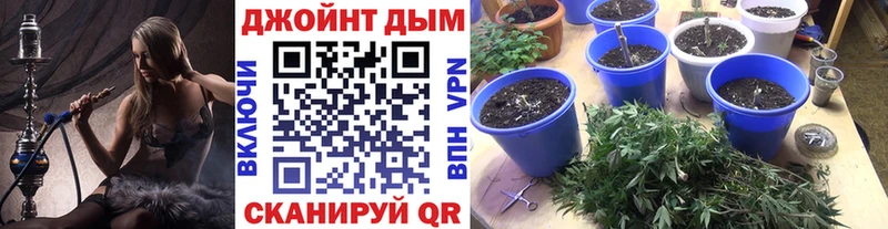 Каннабис план  Кремёнки 